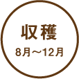 収穫