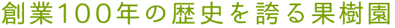 創業100年の歴史を誇る果樹園