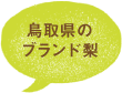 鳥取県のブランド梨
