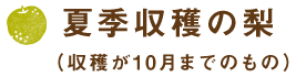 夏季収穫の梨